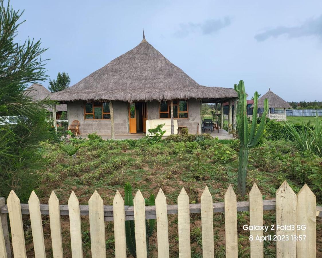 Le Tai Village Resort Near Solio Game Reserve Mweiga Dış mekan fotoğraf